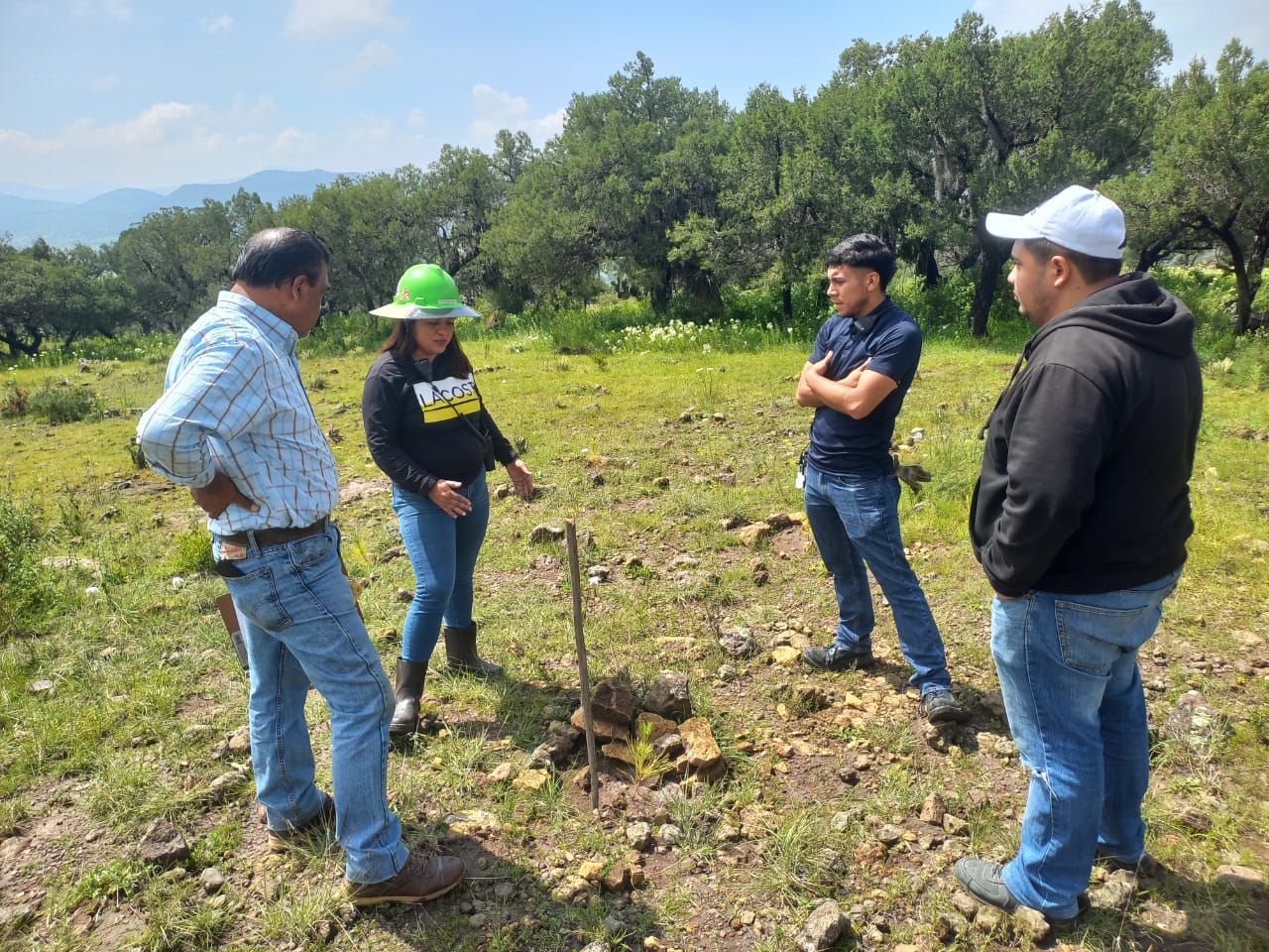 Reporta Semarnath 99% de supervivencia en reforestación del ANP Cerros La Paila – El Xihuingo