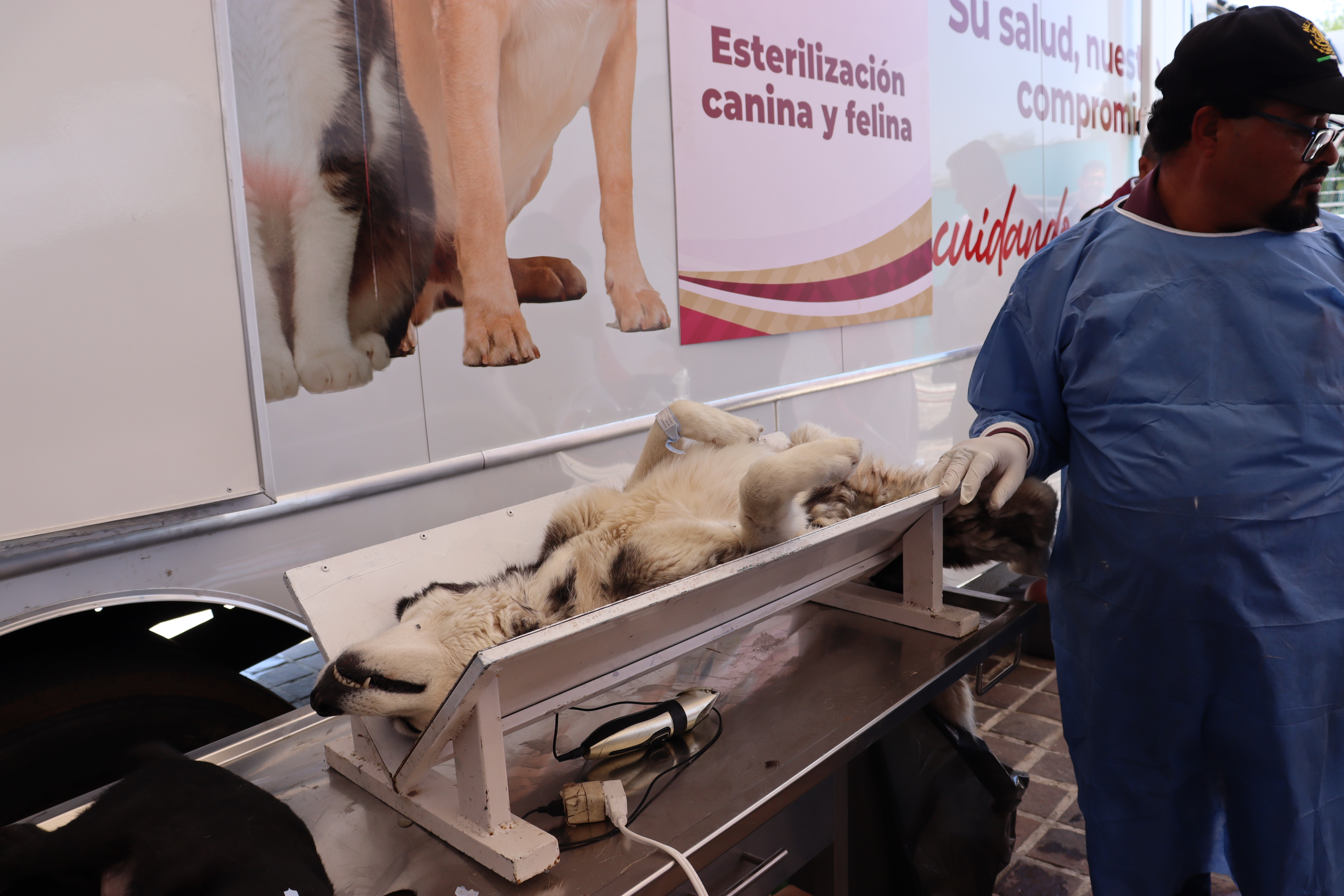 Inician Brigadas de la Salud para familias que más lo necesitan