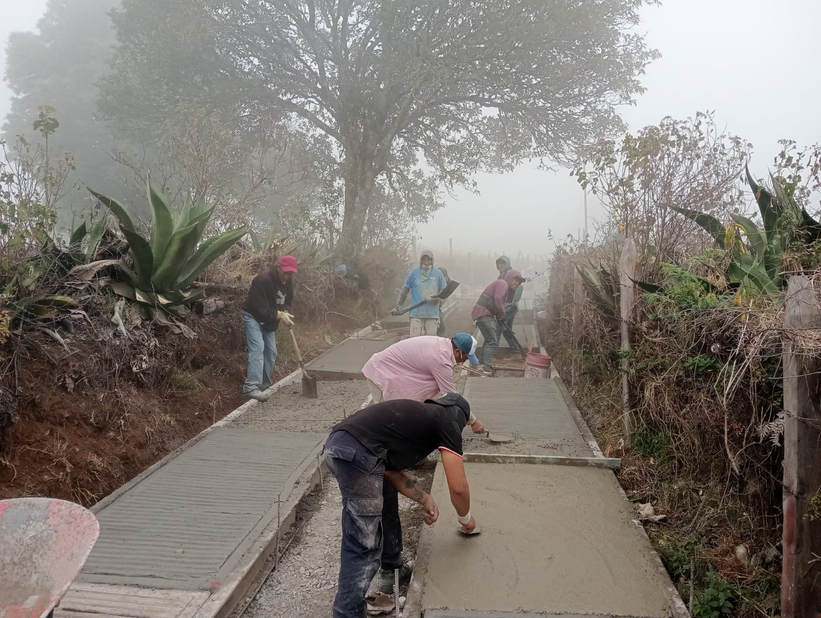 SIPDUS abre convocatoria para el programa “Construye tu Camino”