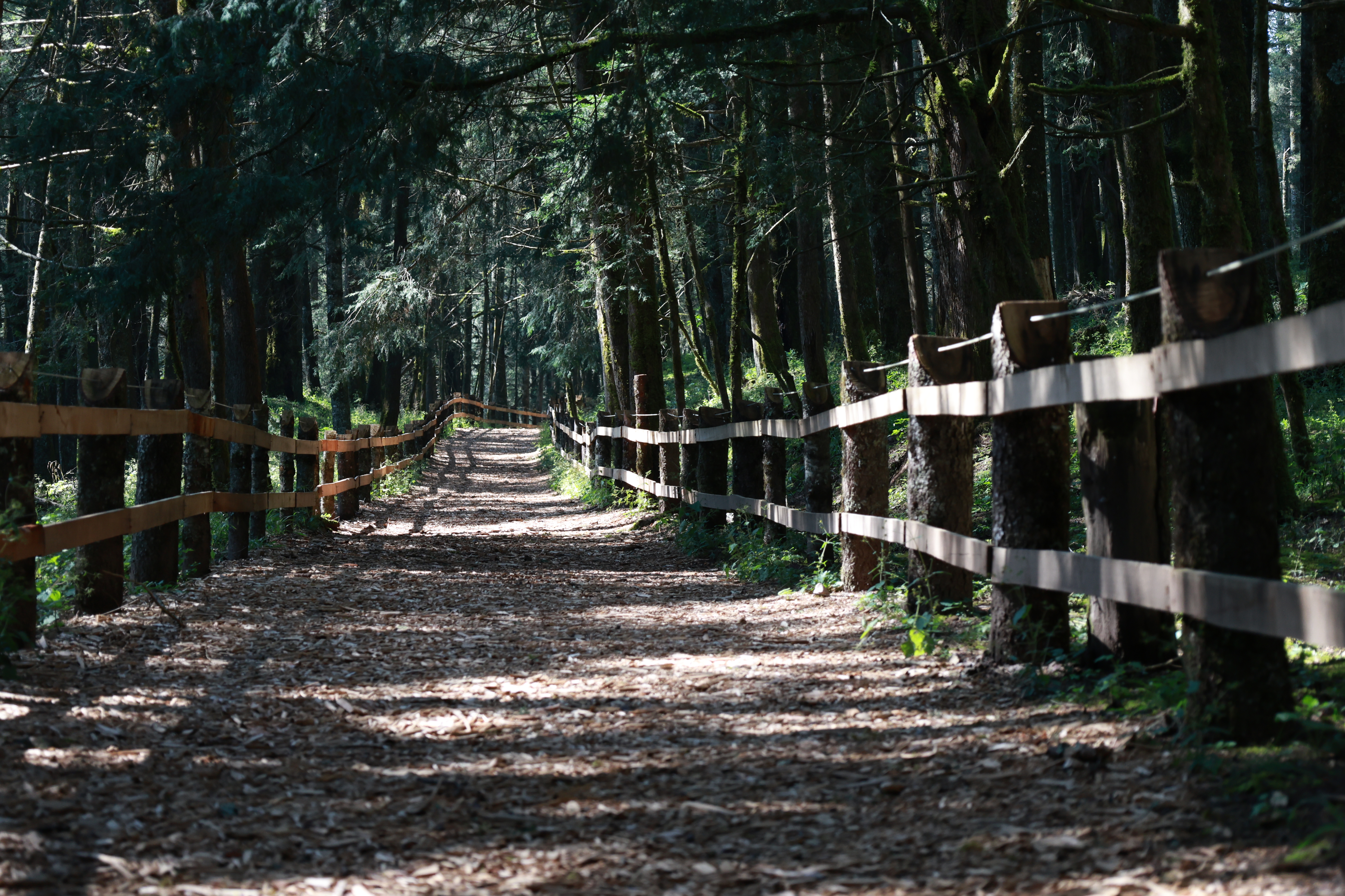 En Hidalgo se avanza hacia un turismo incluyente y exigible por ley