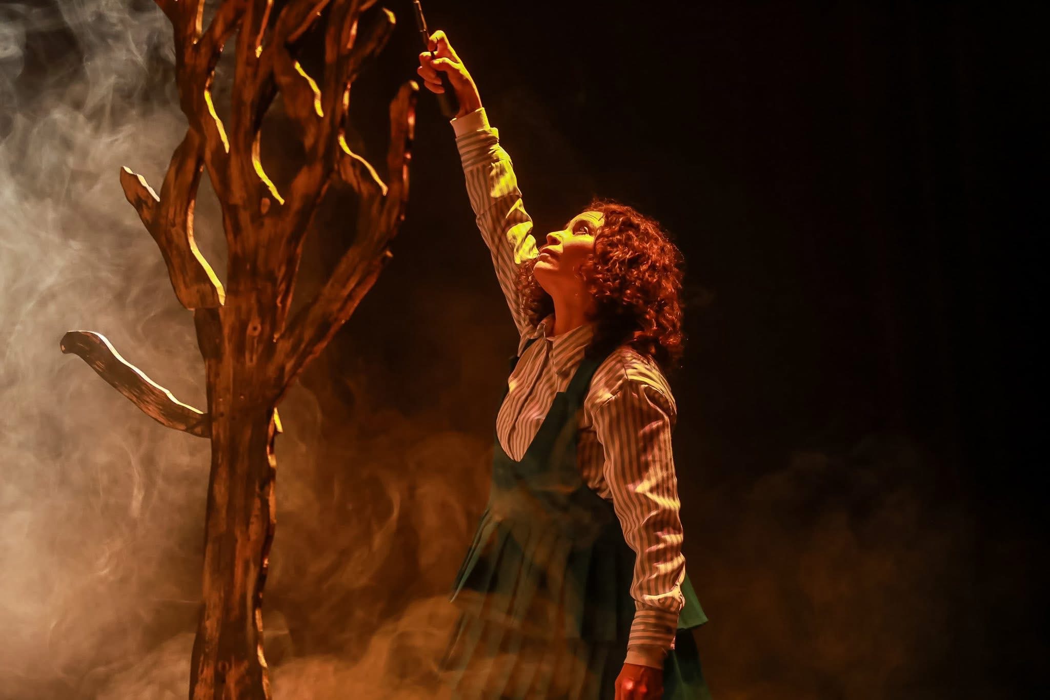 Abre convocatoria el XXI Festival de Monólogos: Teatro a Una Sola Voz