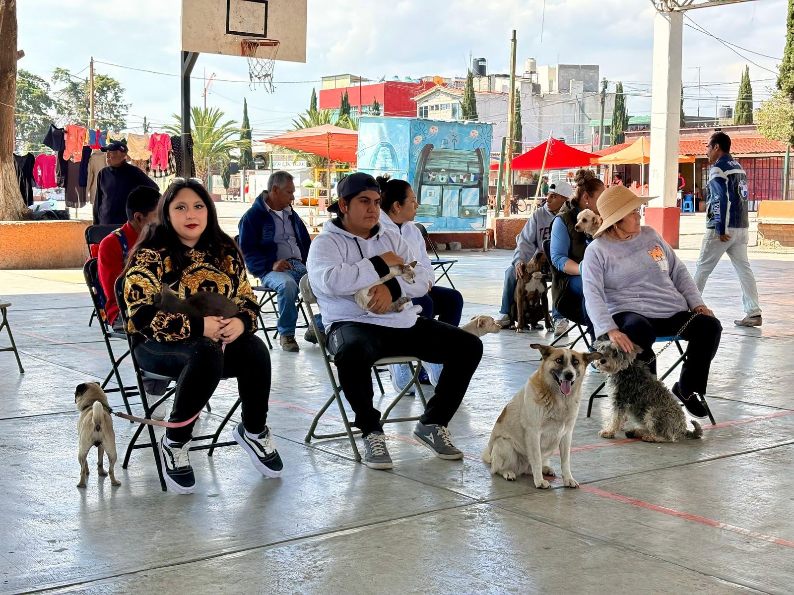 SSH convoca a participar en la Semana Nacional de Vacunación Antirrábica 2026