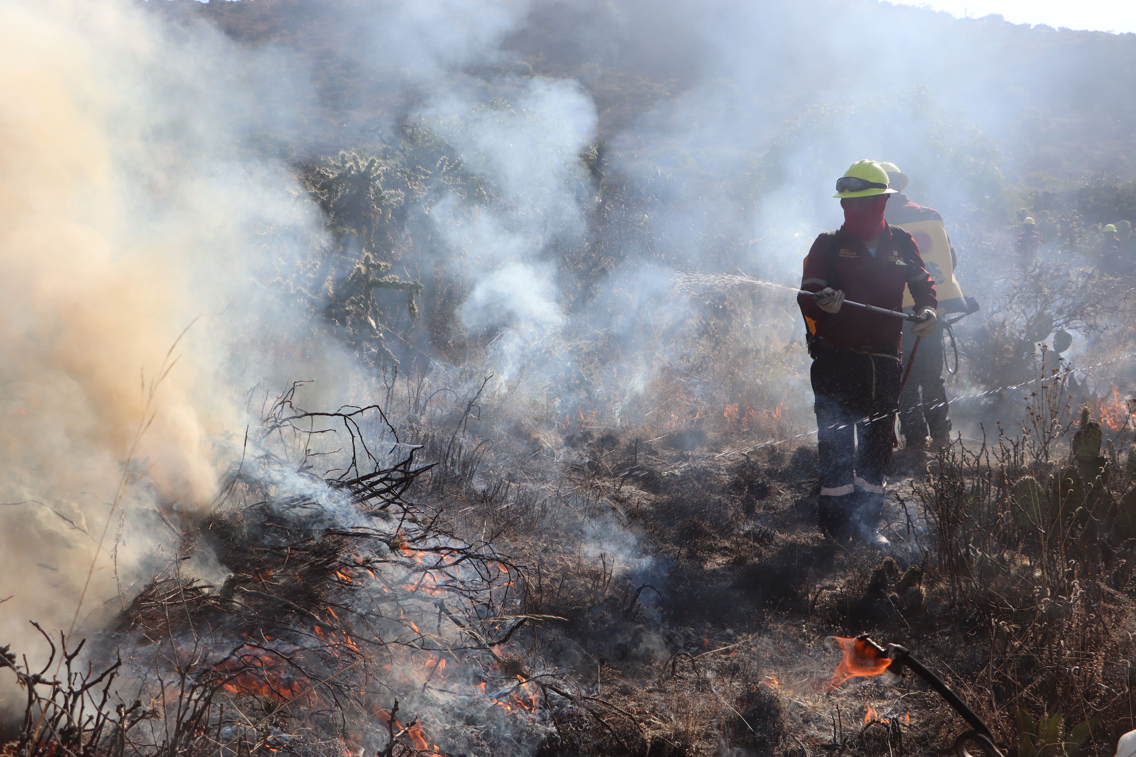 Combaten incendio forestal en Comatitlán; autoridades de Hidalgo coordinan esfuerzos para contener las llamas