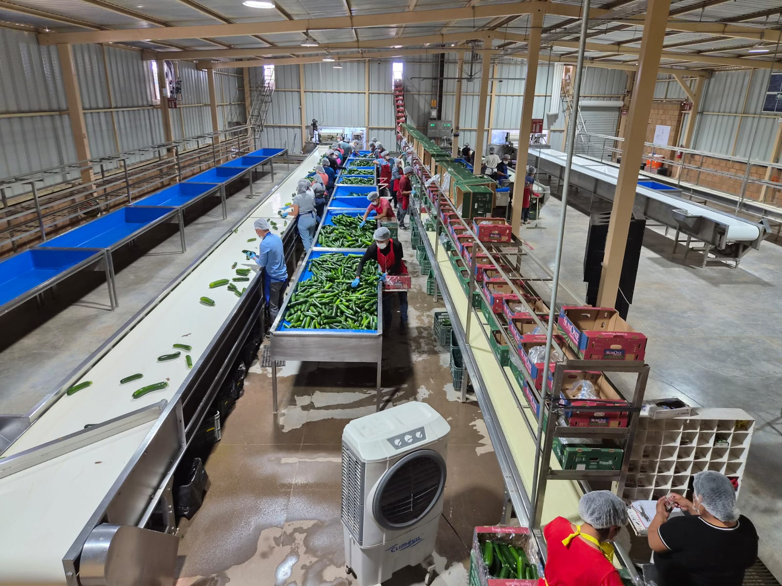 Visitan a trabajadores hidalguenses en empresa de Sonora