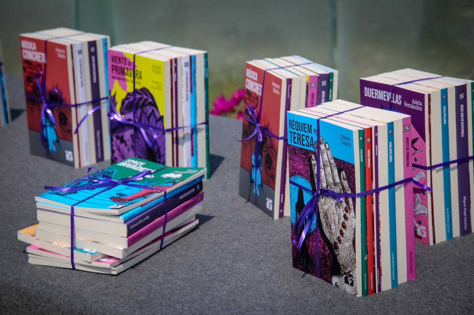 Más de mil libros fortalecen el acceso a la lectura entre juventudes hidalguenses