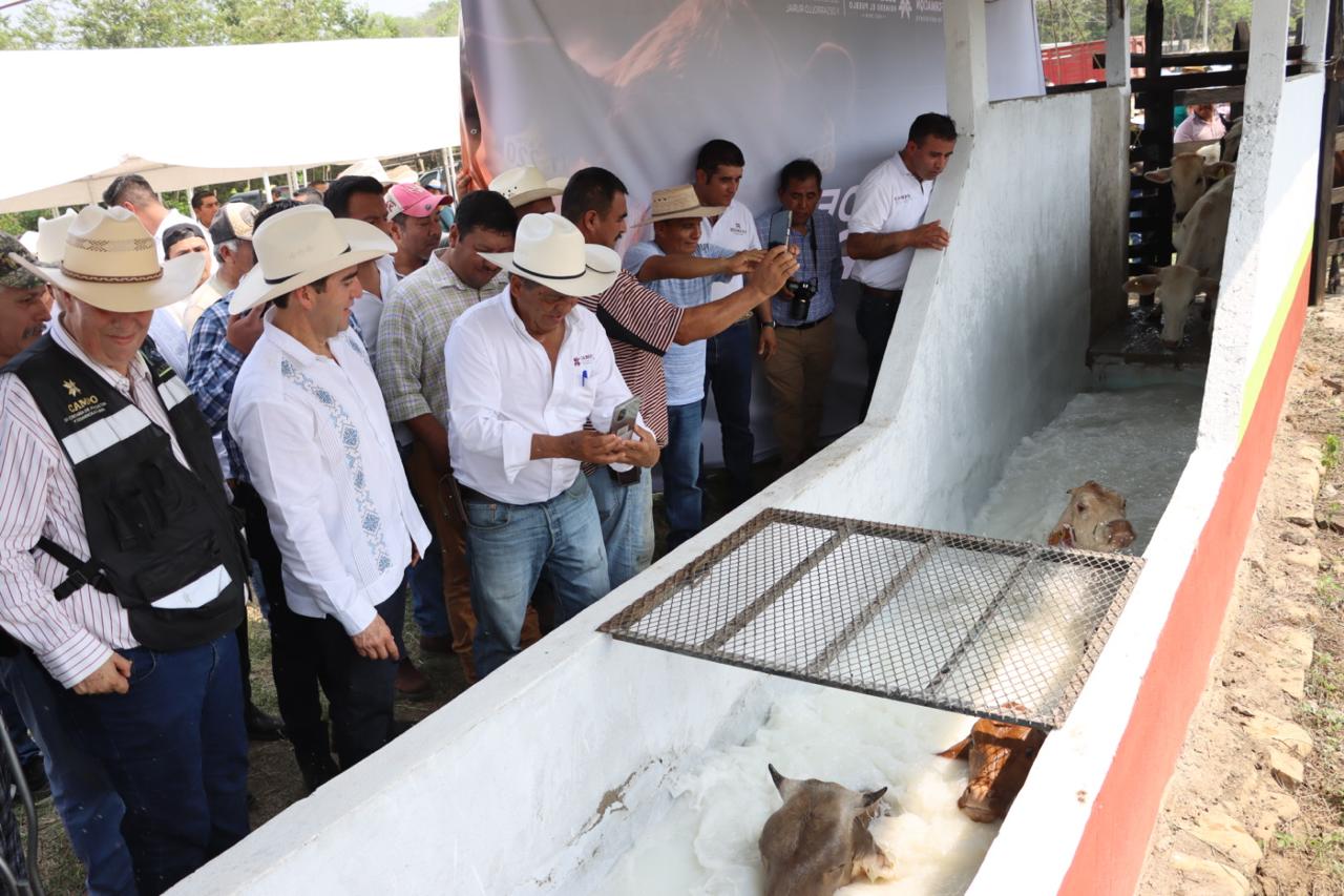 Con 2.9 millones de pesos, fortalecen la esperanza y el desarrollo pecuario en la Huasteca hidalguense